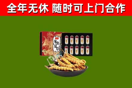 唐山回收冬虫夏草价格